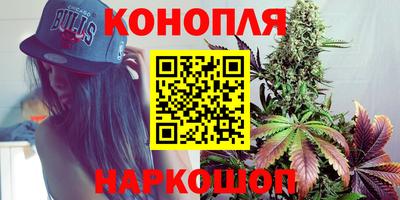 стаф Бузулук