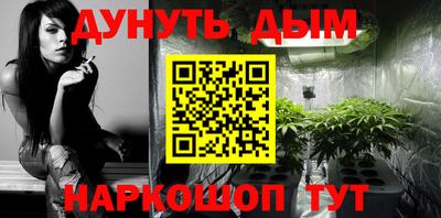 молекула духа Будённовск