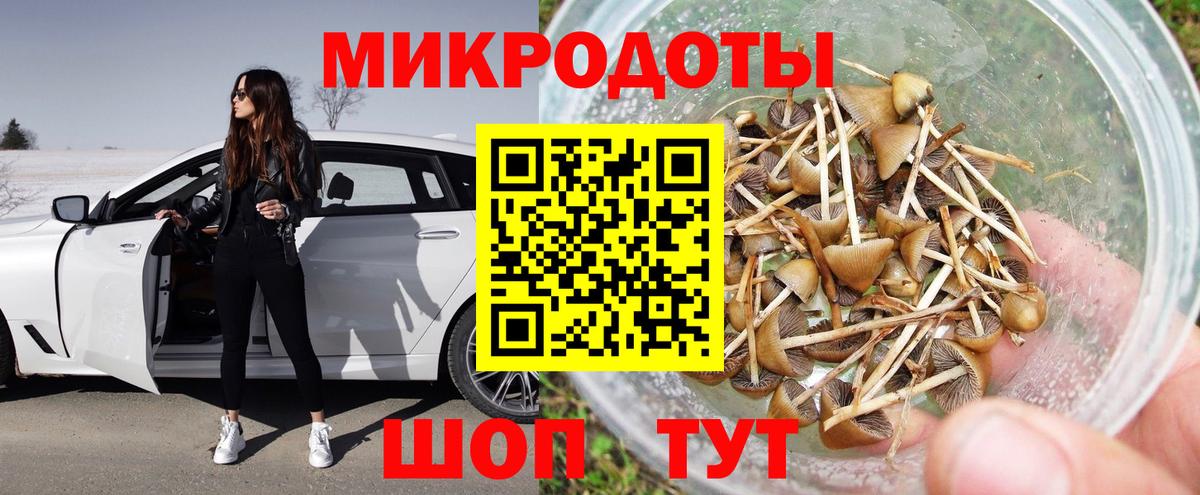 Галлюциногенные грибы Cubensis  Вход с VPN  Галлюциногенные грибы ЛСД  Электрогорск 